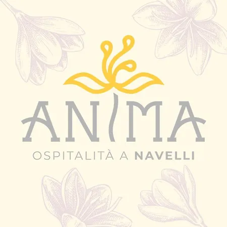 Bed & Breakfast Anima - Ospitalita A 3*